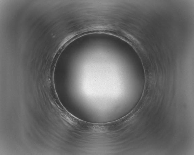 X0000078271170200611101100