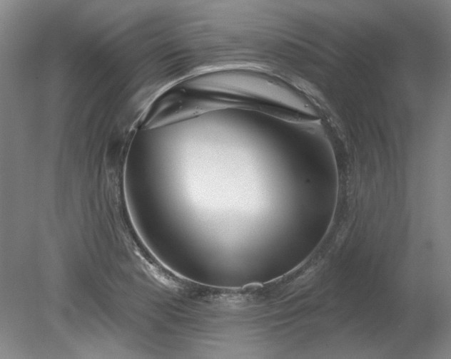 X0000078271177200611101100