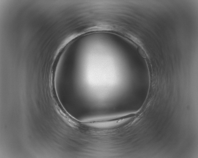 X0000078271179200611101100