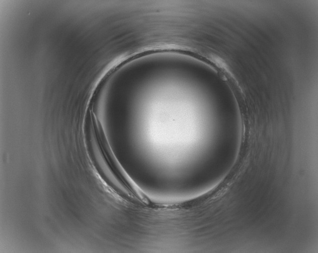 X0000078271181200611101100