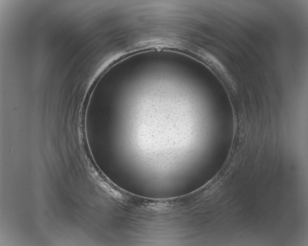 X0000078271182200611101100
