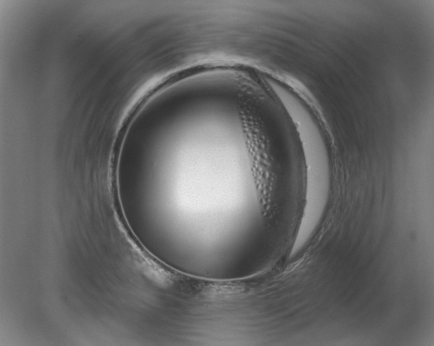 X0000078271183200611101100