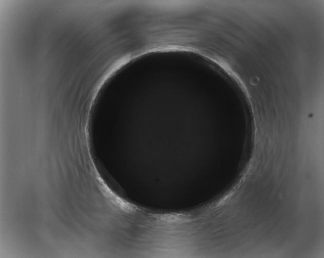 X0000078271189200611101059