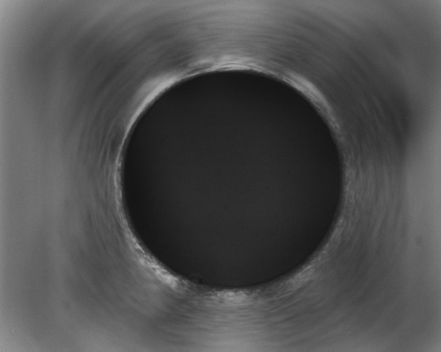 X0000078271190200611101059