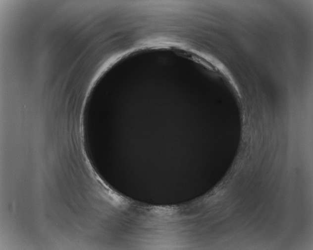 X0000078271191200611101059
