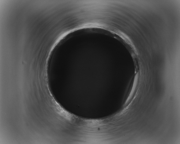 X0000078271192200611101059