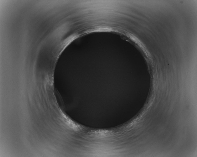 X0000078271193200611101059