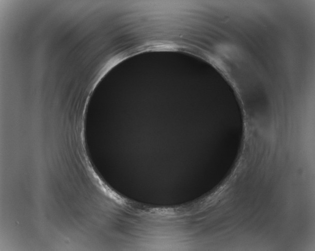 X0000078271194200611101059