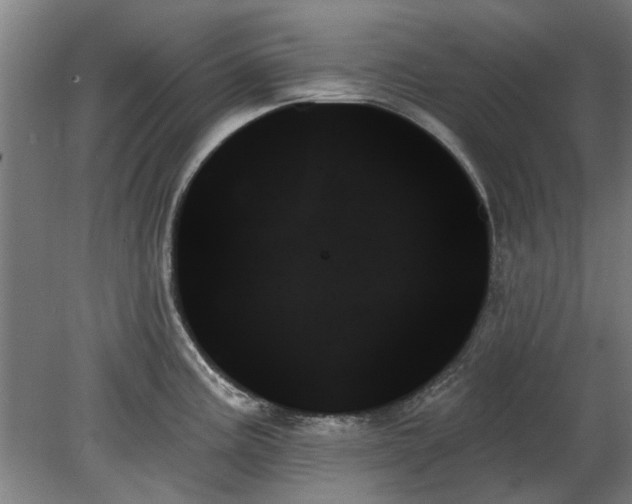 X0000078271195200611101059