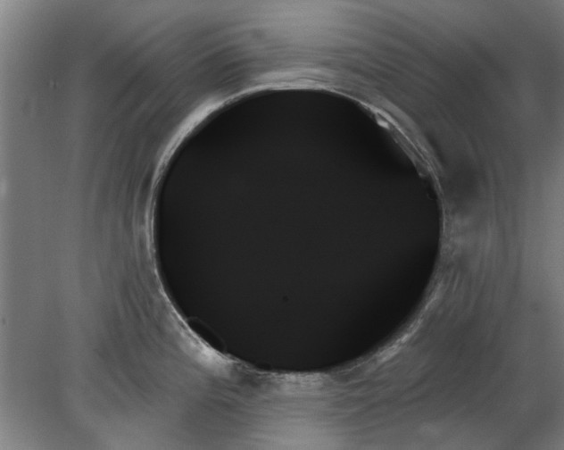 X0000078271196200611101059