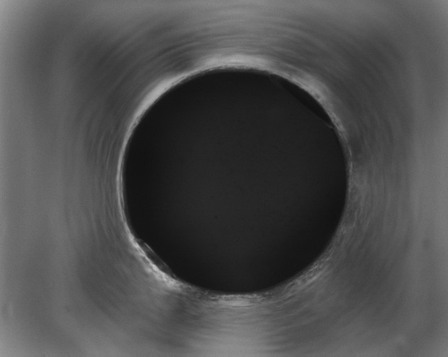 X0000078271199200611101059