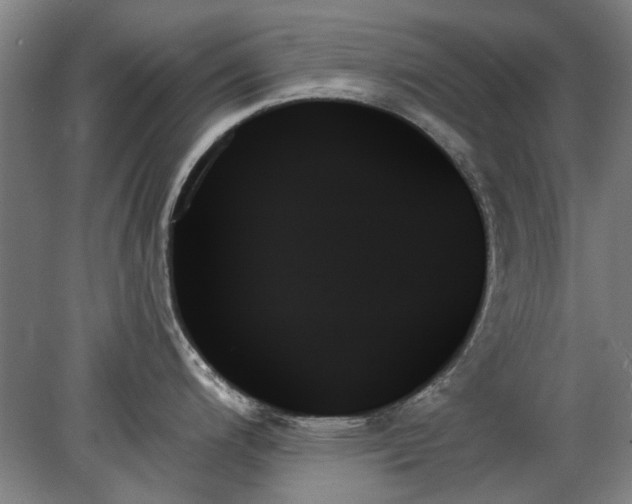 X0000078271200200611101059