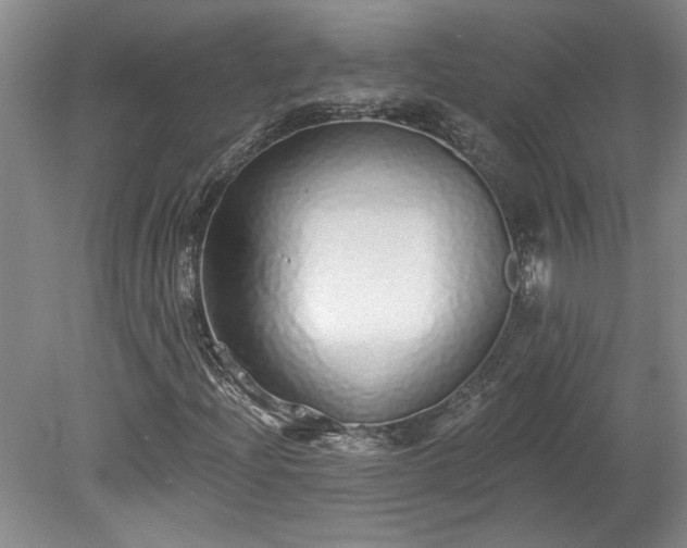 X0000078271204200611101059