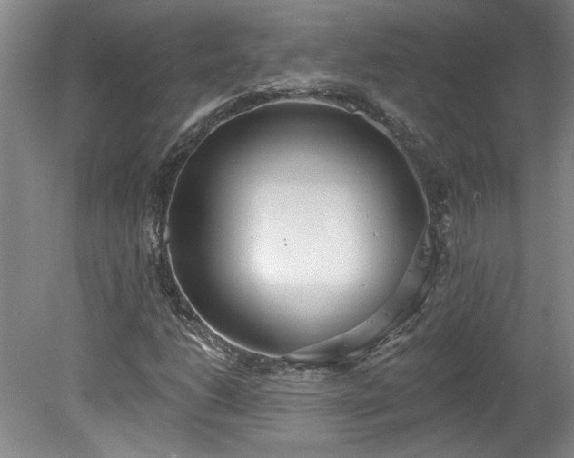 X0000078271206200611101059