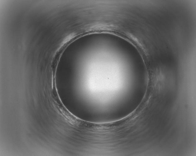 X0000078271219200611101059