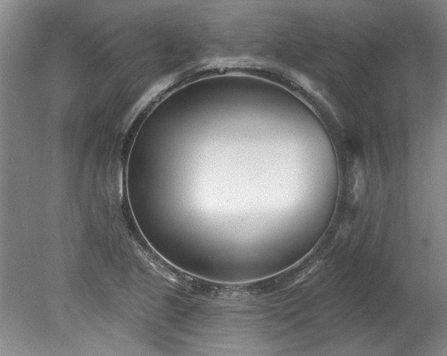 X0000078271221200611101059