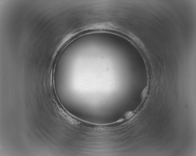 X0000078271224200611101059