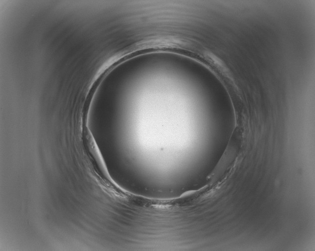 X0000078271226200611101059