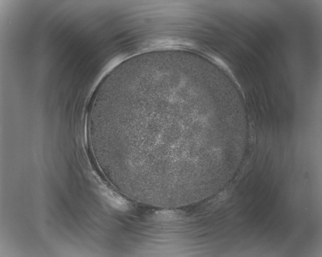 X0000078271227200611101059