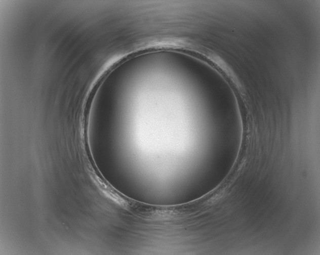 X0000078271232200611101059
