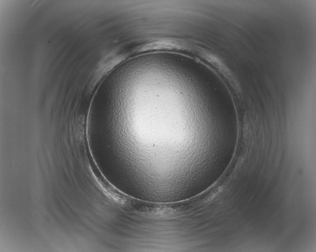 X0000078271233200611101059