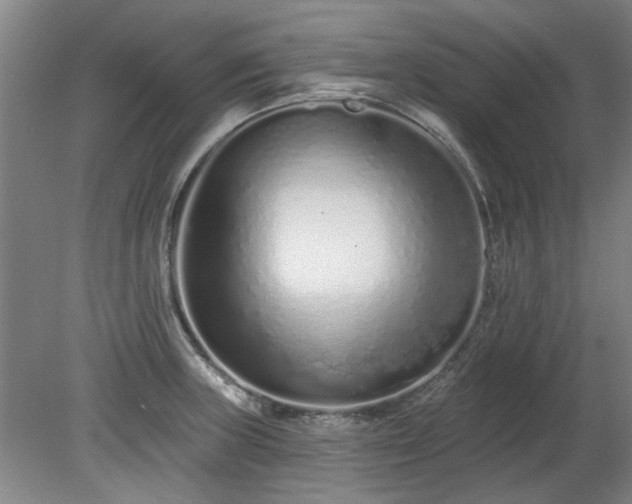X0000078271235200611101059