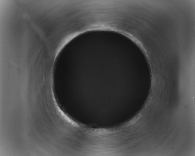 X0000078271239200611101059