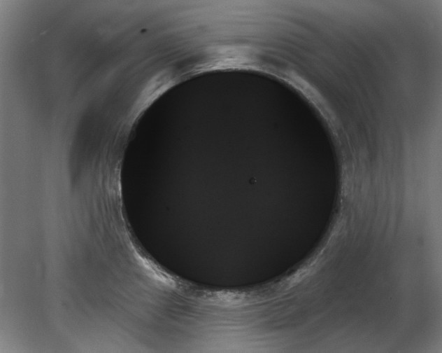 X0000078271241200611101059