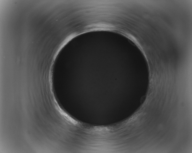 X0000078271243200611101059