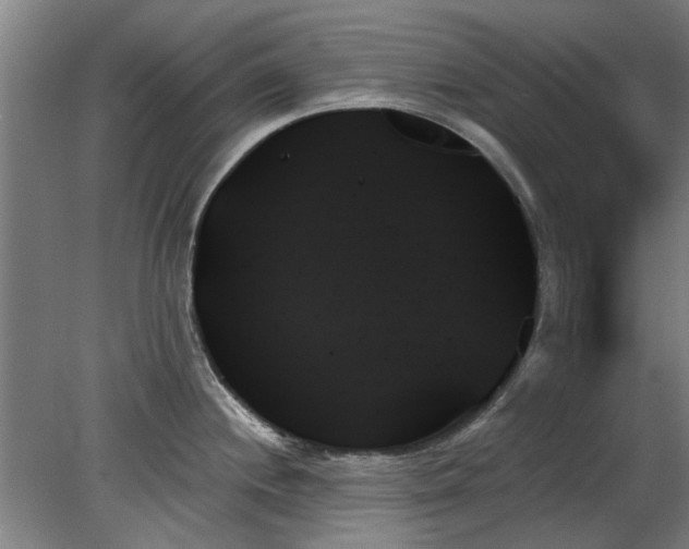 X0000078271244200611101059
