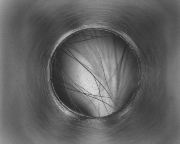 X0000078271246200611101059