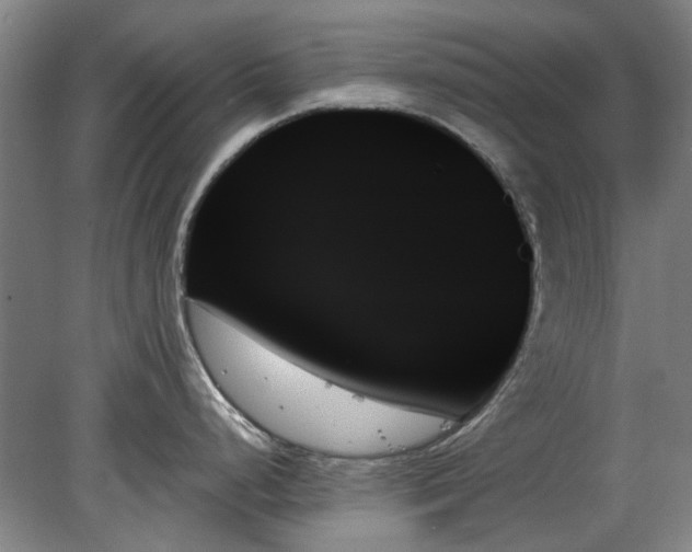 X0000078271248200611101059