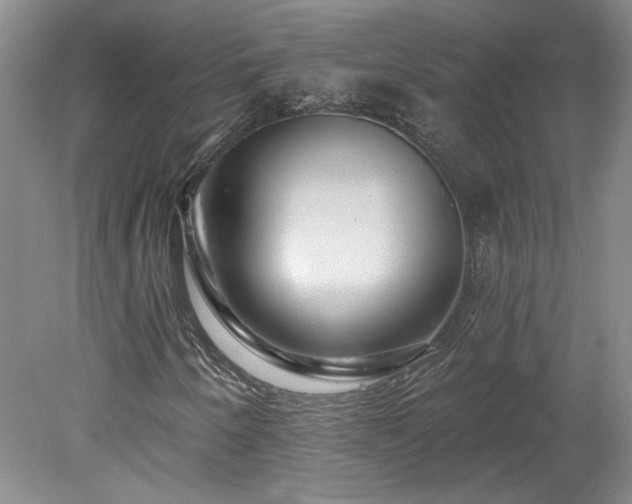 X0000078271250200611101058