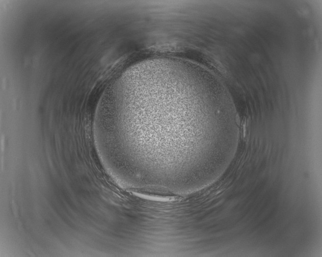 X0000078271251200611101058