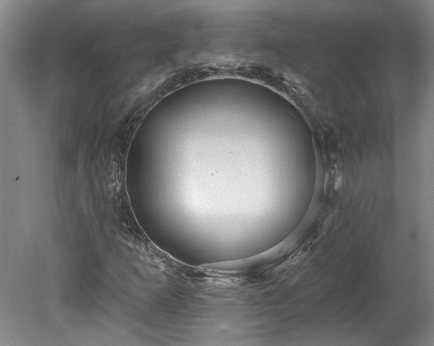 X0000078271253200611101058