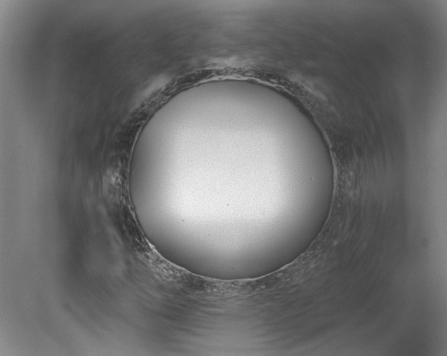 X0000078271254200611101058