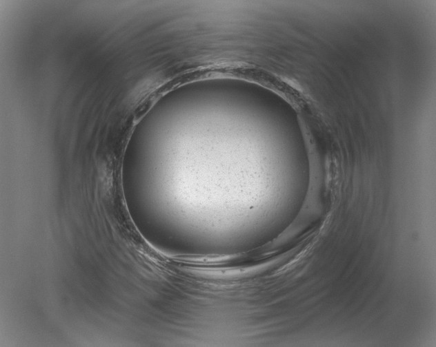X0000078271257200611101058