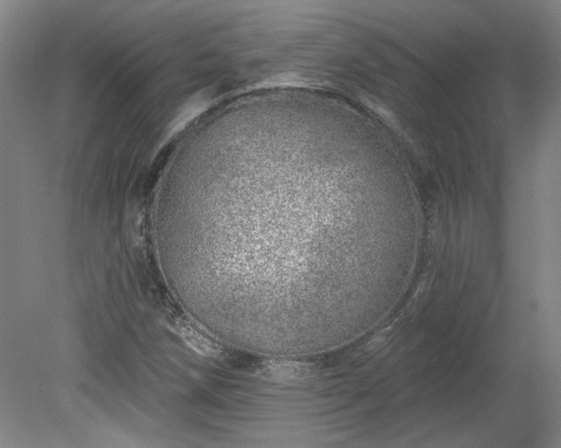 X0000078271258200611101058
