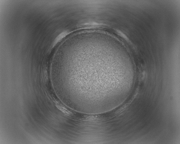 X0000078271259200611101058