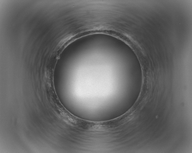X0000078271265200611101058