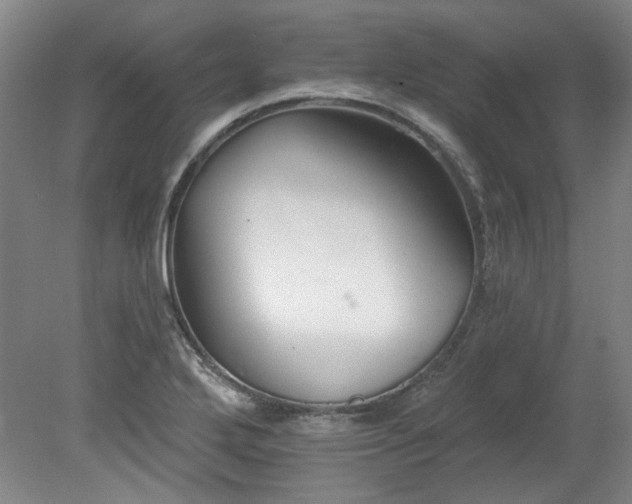 X0000078271272200611101058