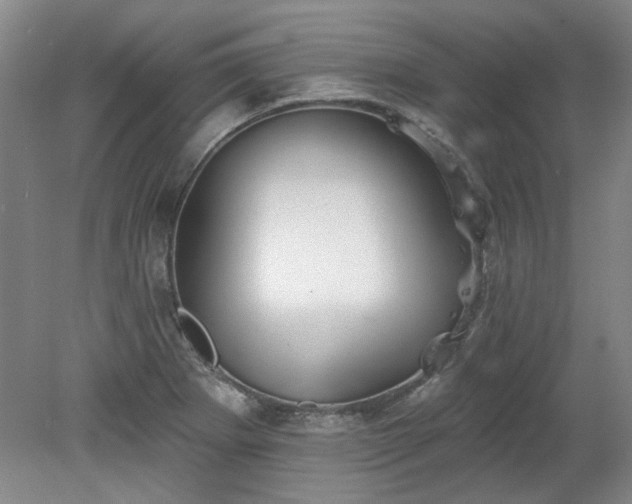 X0000078271273200611101058
