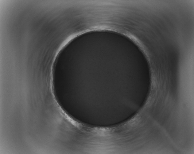 X0000078271286200611101058