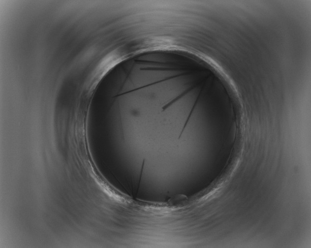 X0000078271289200611101058