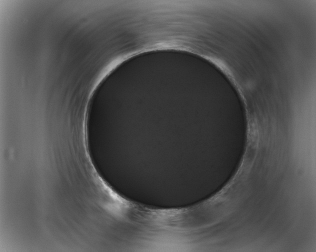 X0000078271294200611101058