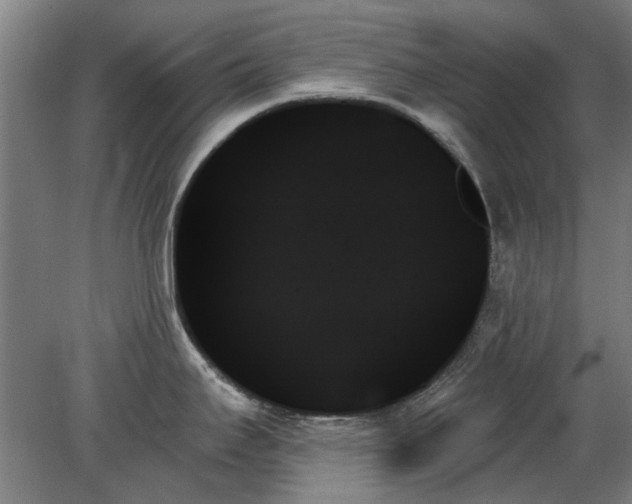X0000078271295200611101058