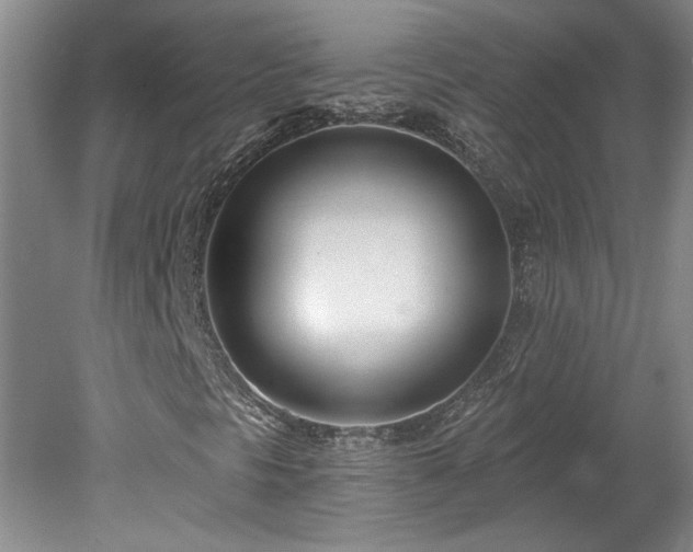 X0000078271297200611101057