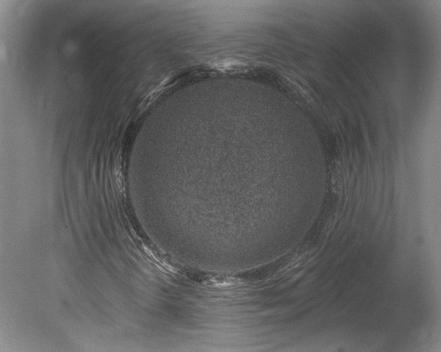 X0000078271298200611101057