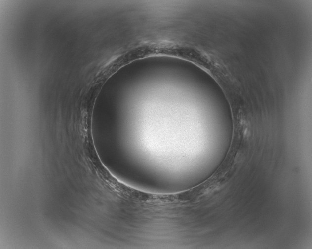 X0000078271301200611101057