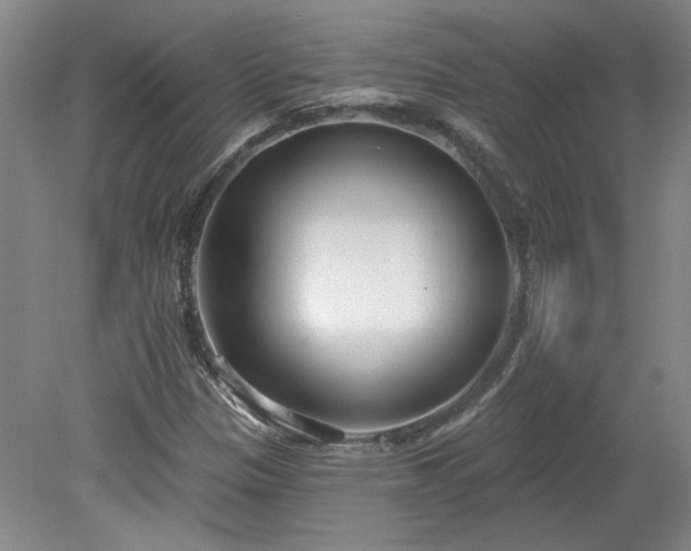 X0000078271305200611101057